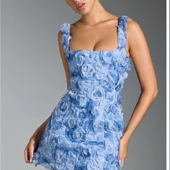 Oh Polly Dresses & Skirts - Oh Polly Powder Blue 3D Floral Mini Dress